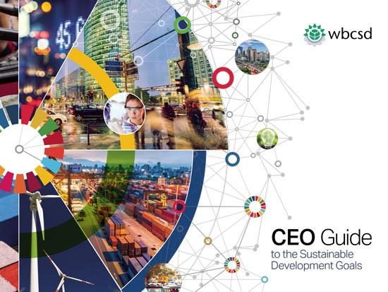 CEO Guide to the SDGs